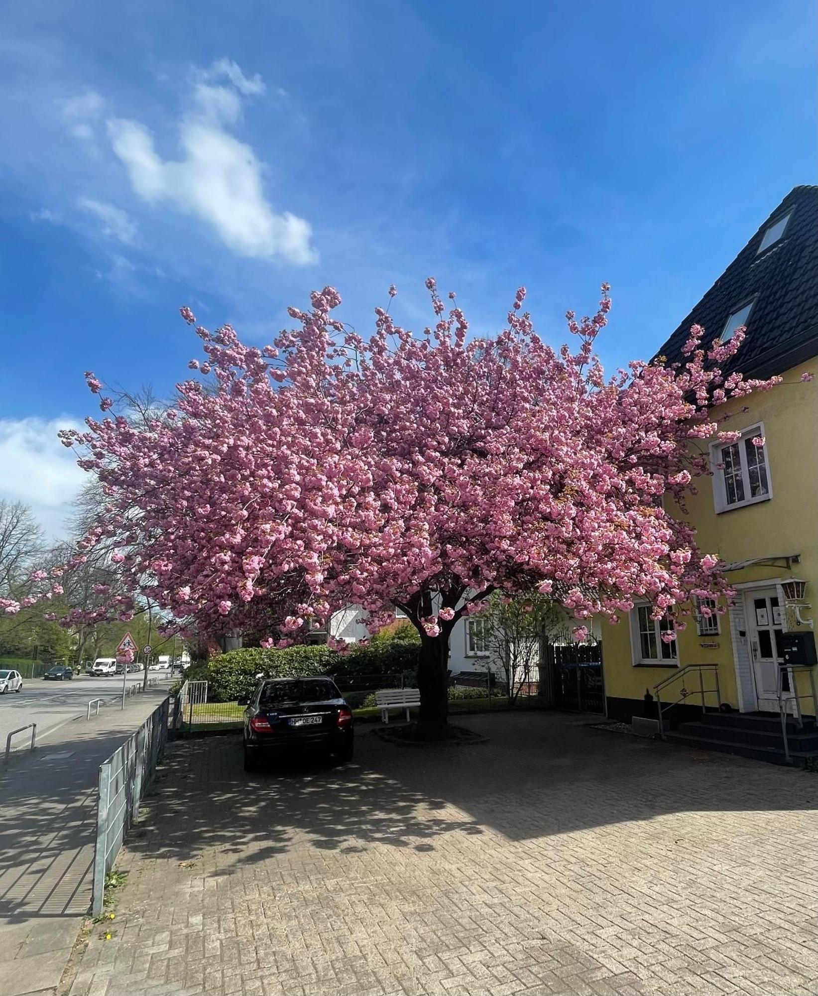 Hotel Villa Wandsbek Hamburg Exterior photo